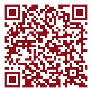 UPI payment QR
